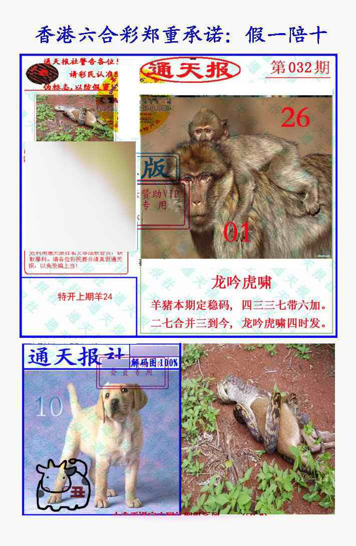 032期假一陪十通天报[图]